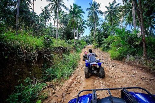 Atv – photo 3