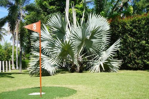 Football golf – photo 3