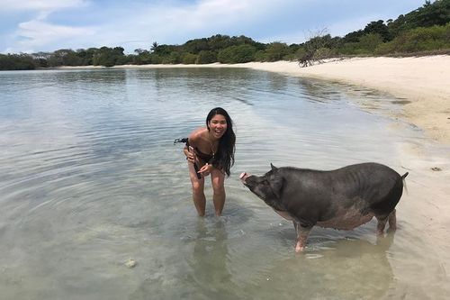 Pig island – photo 5