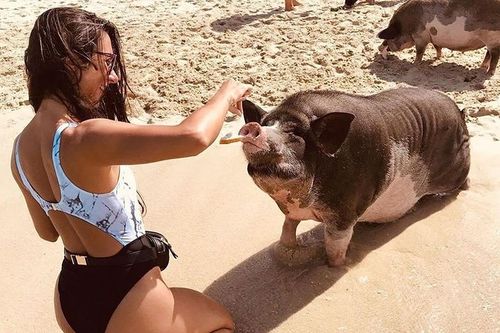 Pig island – photo 6