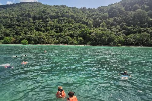 Pig island – photo 3