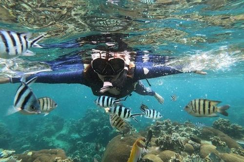 Koh tao – photo 7