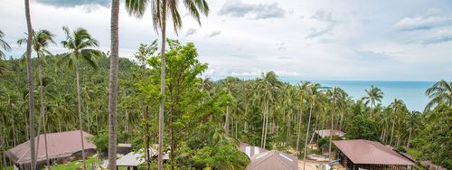 Elephant sanctuary – photo 11