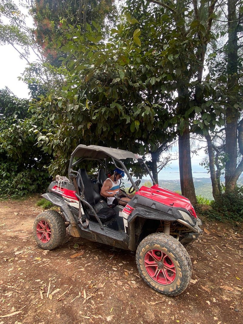 Buggy – photo 1