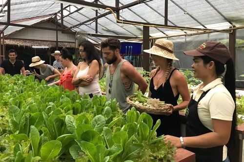 Thai Cooking Class & Organic Micro Farm Experience – photo 10