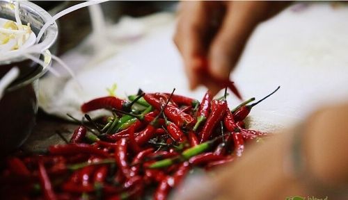Thai Cooking Class & Organic Micro Farm Experience – photo 2