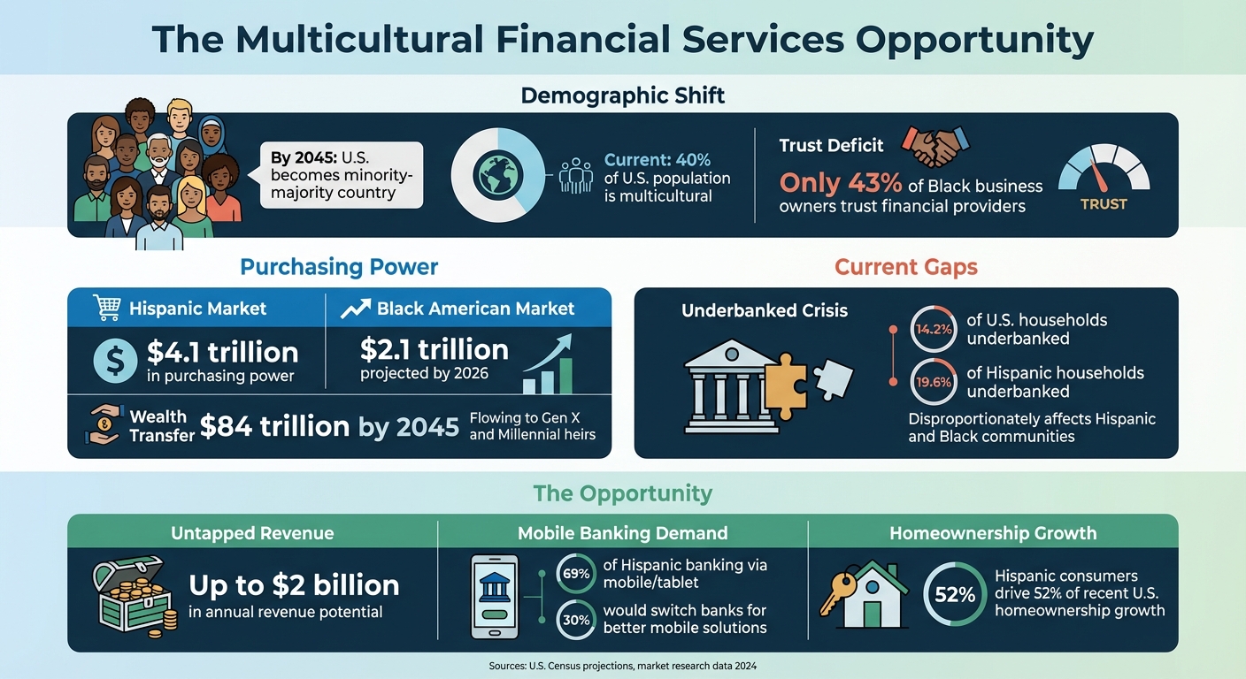 Multicultural Market Opportunities in US Financial Services 2024-2045
