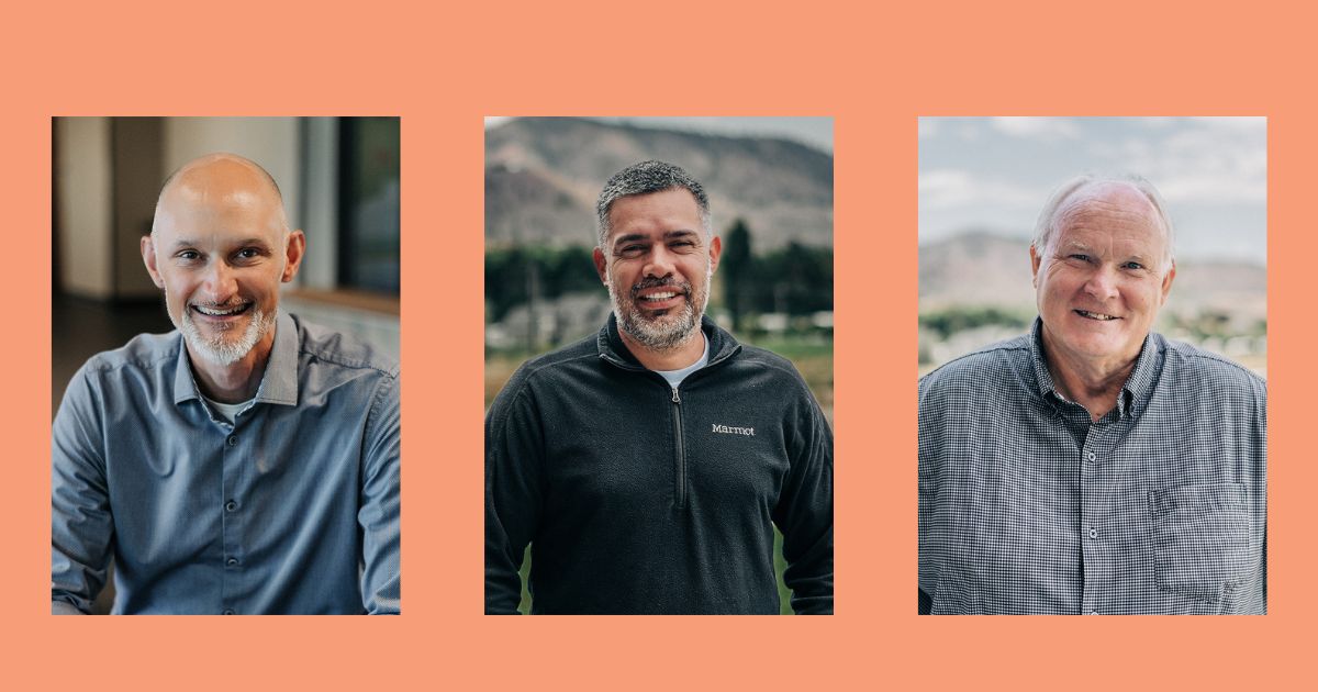 New board members