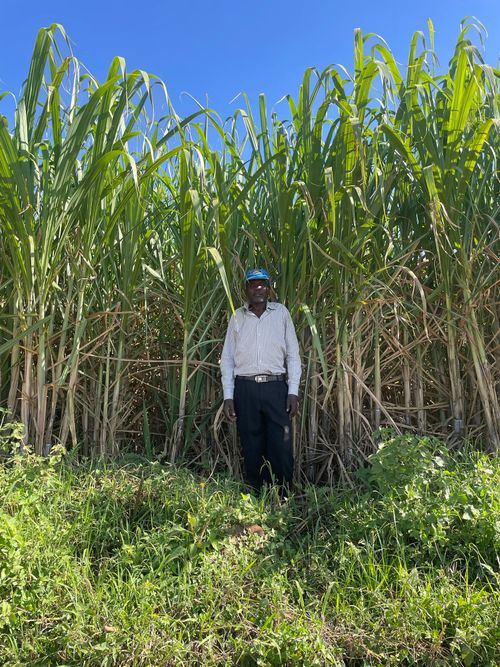 Our Story Gallery - Farm Webflow Template