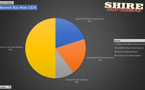 Snake species distribution in Bonnet Bay, NSW – This pie chart illustrates the most commonly relocated snake species in Yarrawarrah, a suburb bordering the Royal National Park. The data shows that Common Tree Snakes (39%) are the most frequently encountered, followed by Red-Bellied Black Snakes (32%), Golden-Crowned Snakes (25%), and Diamond Pythons (4%). With 42% bushland coverage, low housing density, and direct access to native habitats, Yarrawarrah provides ideal conditions for snakes to thrive. This chart highlights the importance of snake awareness and safe cohabitation in bushland suburbs. For professional snake relocations, contact Shire Snake Wranglers at 0428 458 856. #Yarrawarrah #SnakeRelocation #ShireSnakeWranglers #RoyalNationalPark