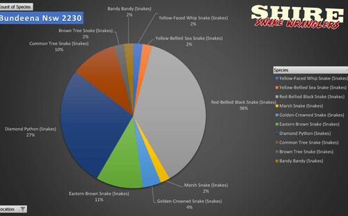 Snake species distribution in Bundeena, NSW – This pie chart illustrates the most commonly relocated snake species in Yarrawarrah, a suburb bordering the Royal National Park. The data shows that Common Tree Snakes (39%) are the most frequently encountered, followed by Red-Bellied Black Snakes (32%), Golden-Crowned Snakes (25%), and Diamond Pythons (4%). With 42% bushland coverage, low housing density, and direct access to native habitats, Yarrawarrah provides ideal conditions for snakes to thrive. This chart highlights the importance of snake awareness and safe cohabitation in bushland suburbs. For professional snake relocations, contact Shire Snake Wranglers at 0428 458 856. #Yarrawarrah #SnakeRelocation #ShireSnakeWranglers #RoyalNationalPark