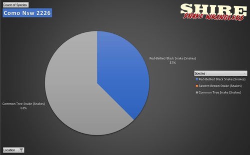 nake species distribution in Como, NSW – This chart illustrates the most commonly relocated snake species in Como, a leafy suburb along the Georges River. The data shows that Diamond Pythons (41%) are the most frequently encountered, followed by Red-Bellied Black Snakes (28%) and Common Tree Snakes (17%). Less common but still present are Eastern Brown Snakes (5%), Yellow-Faced Whip Snakes (3%), Brown Tree Snakes (3%), and Blackish Blind Snakes (3%). Como’s riverside setting, abundant bushland, and family-friendly gardens provide excellent conditions for snakes to thrive.