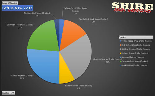 Snake sightings and relocations in Loftus, NSW, visualized in a pie chart. This data, collected by Shire Snake Wranglers, highlights the most common snake species found in residential areas near the Royal National Park. The chart shows the percentage distribution of Diamond Pythons (26%), Golden-Crowned Snakes (26%), Common Tree Snakes (21%), Red-Bellied Black Snakes (13%), Eastern Brown Snakes (8%), Yellow-Faced Whip Snakes (3%), and Blackish Blind Snakes (3%). Loftus, with its high bushland coverage and proximity to native habitats, frequently sees these species in homes and backyards. Understanding snake movement in urban areas helps residents stay informed and prepared. For professional snake relocation services, contact Shire Snake Wranglers.