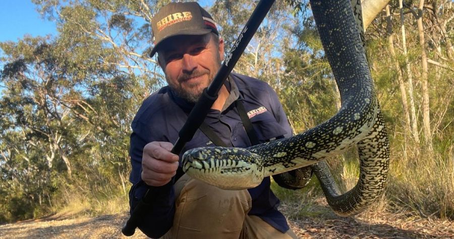 Bandy Bandy Snake in Sydney