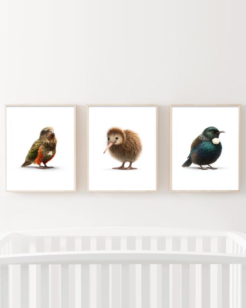 Nz Birds Nursery Wall Art Print Set