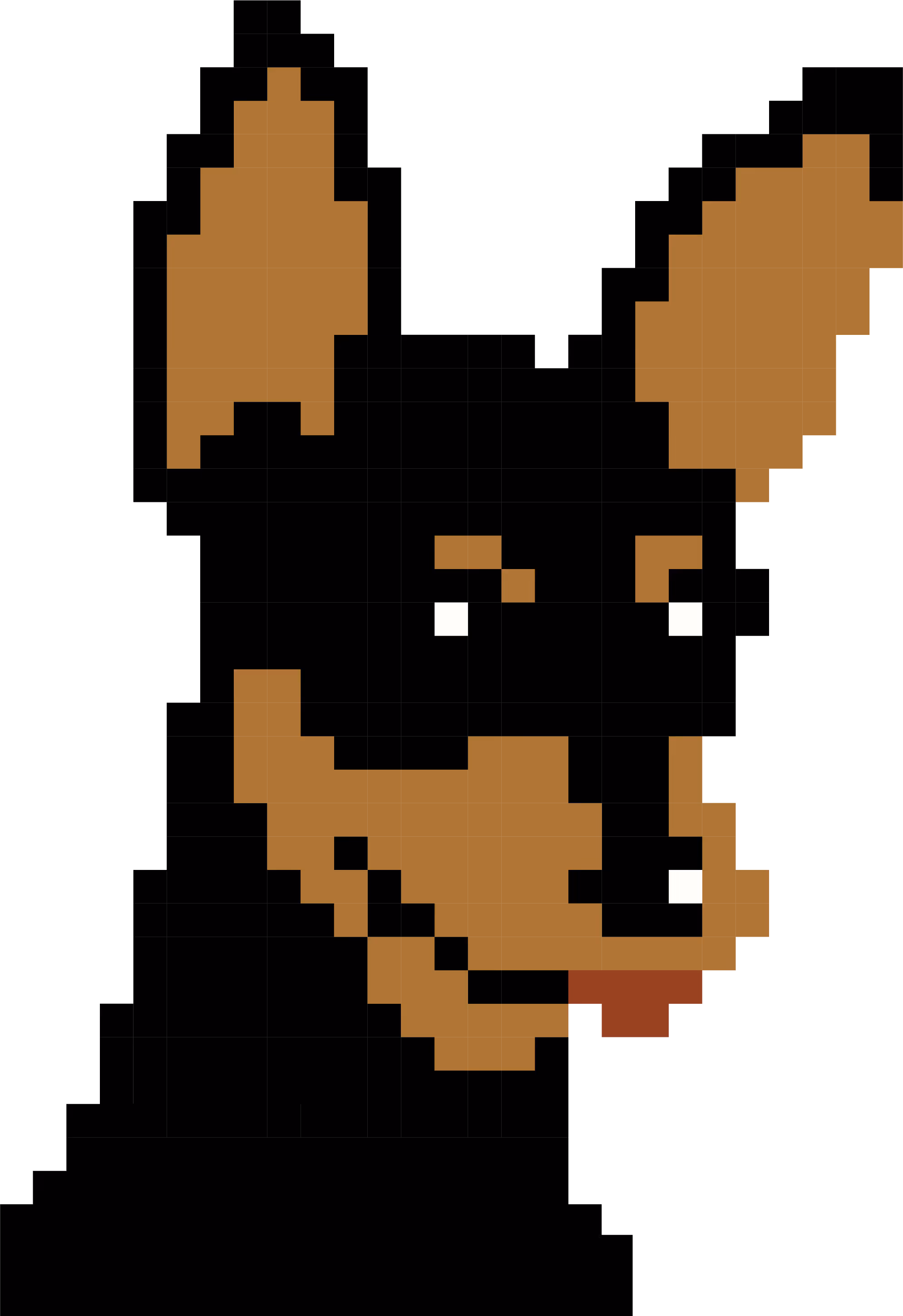 Zara, dog and Pawlity Assurance engineer a part of the creative team at DigiBenders, Saint John, NB.