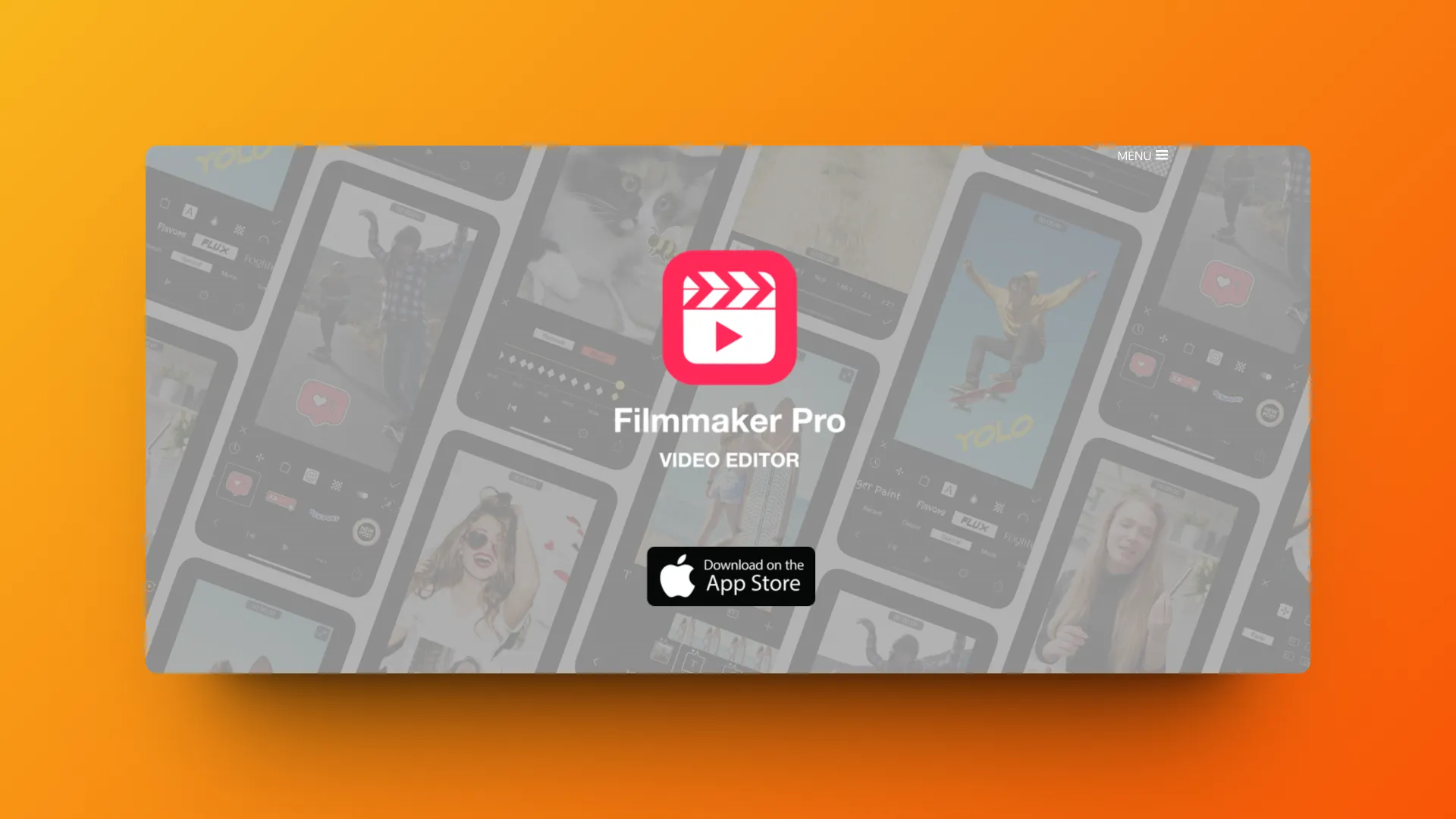 Filmmaker Pro