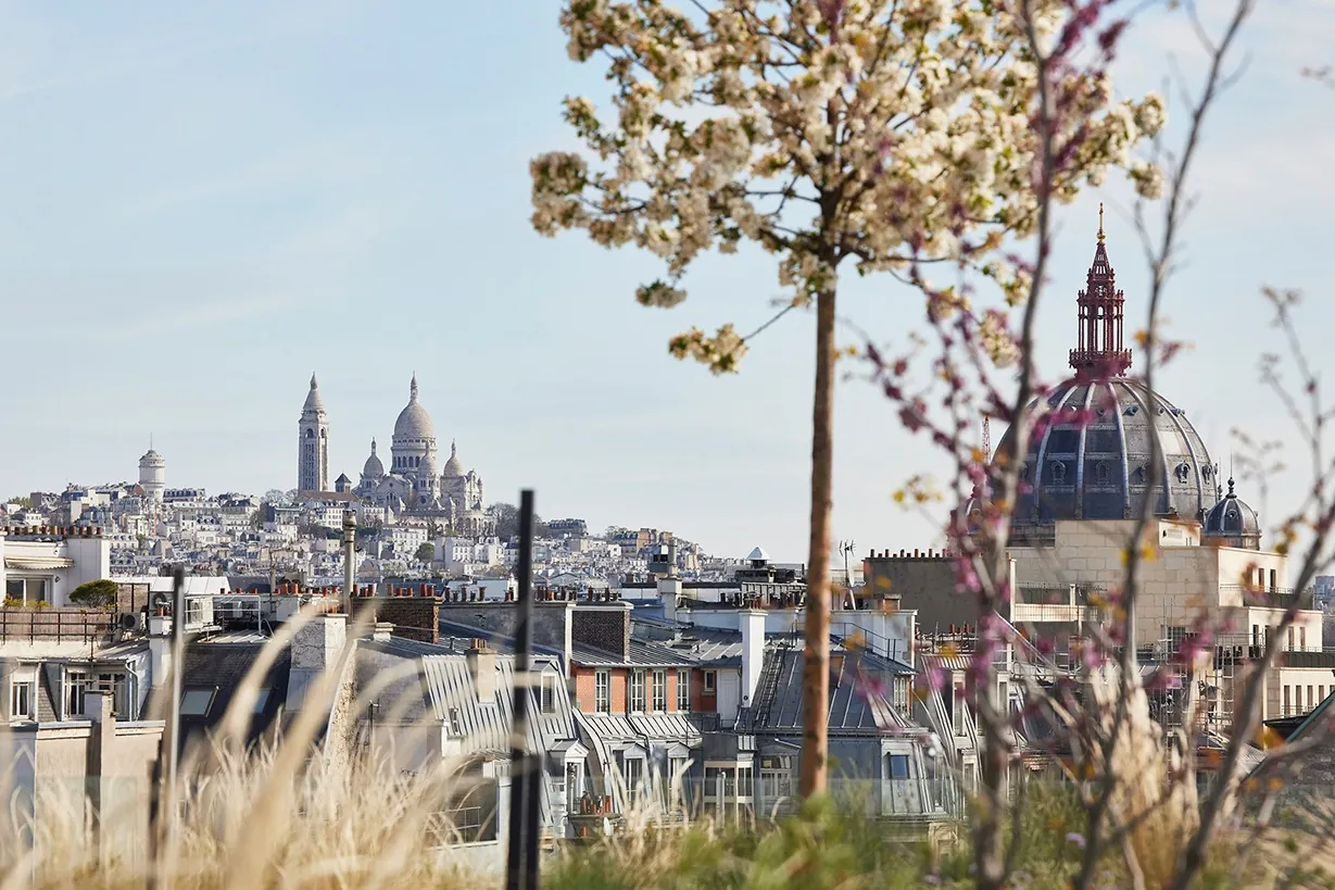Bureau privé 30 postes - Paris 8e, Rue de Courcelles