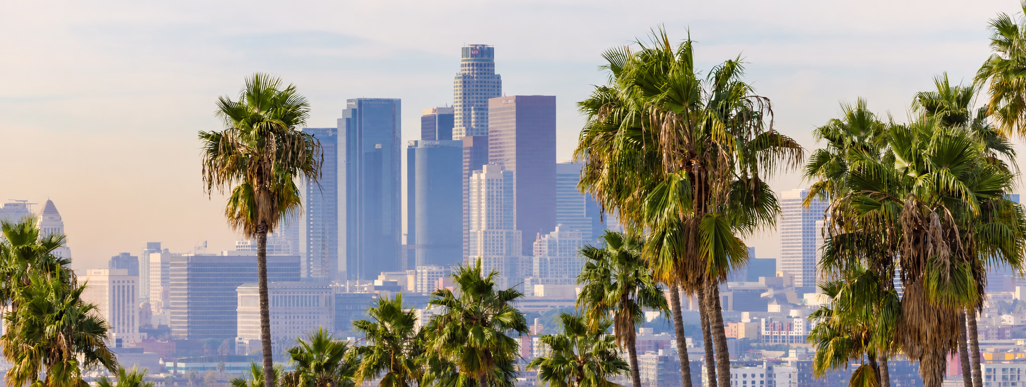 LA Skyline