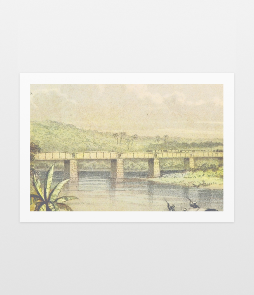 The Bridge