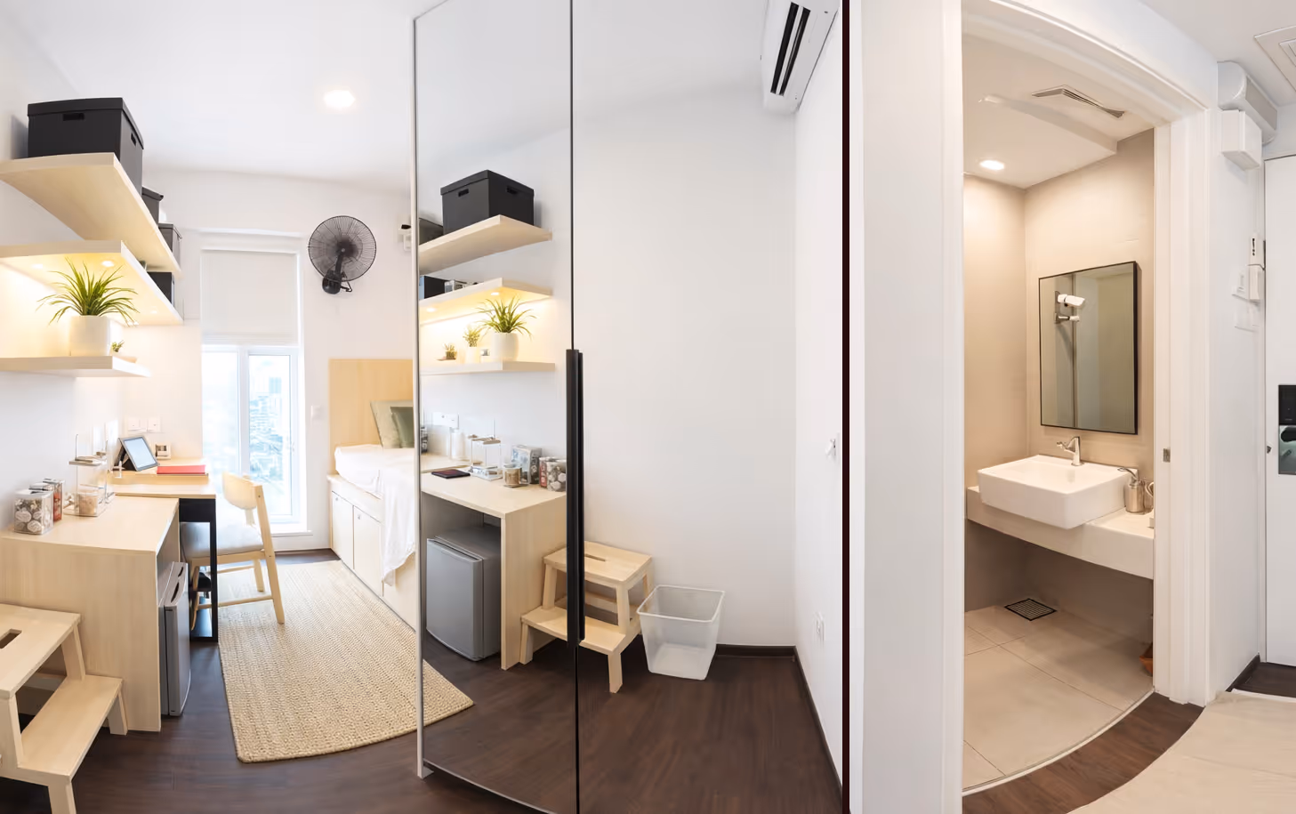 Compact modern bedroom with light wood furniture, shelves with plants, a single bed, desk with chair, wall fan, mirrored wardrobe, and an en-suite bathroom with a sink and mirror.