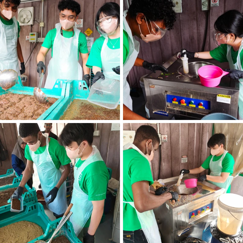 REGrow activity image 2