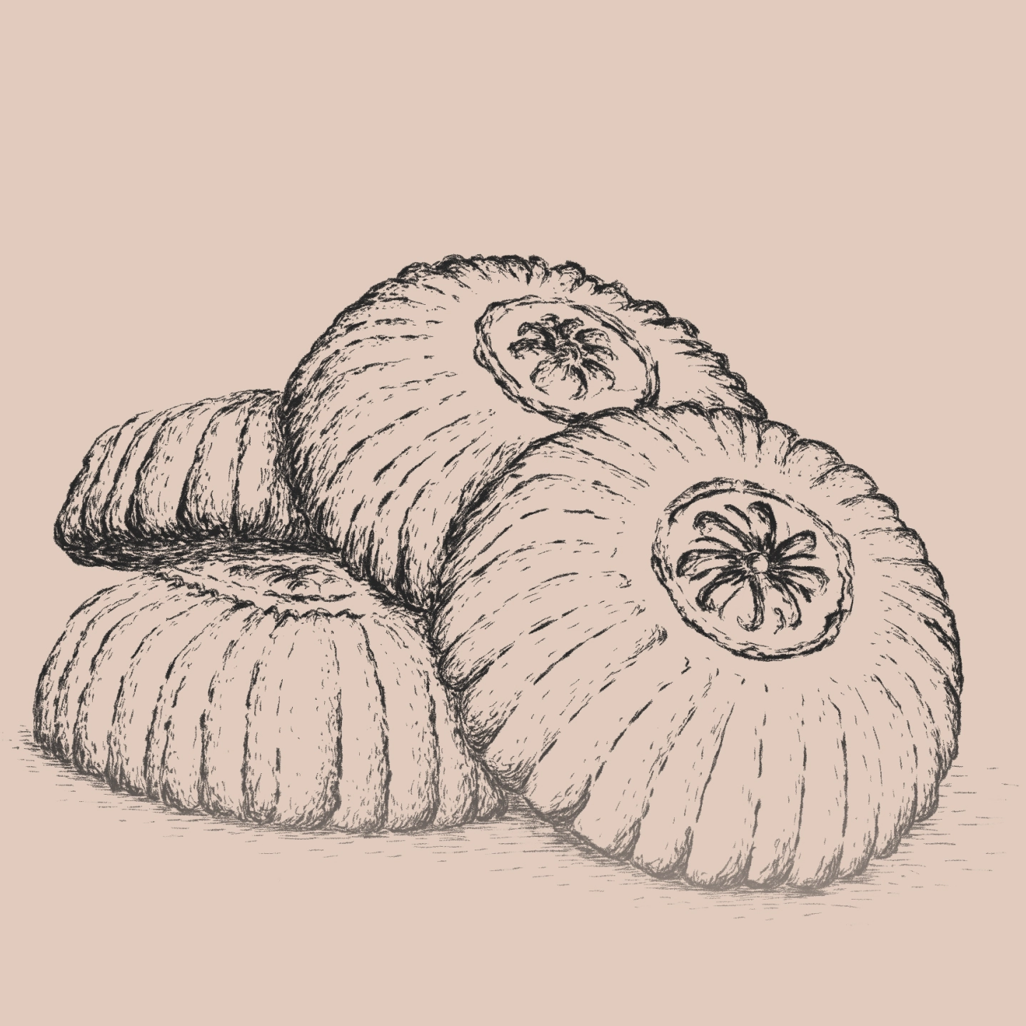 Illustration of a cookie