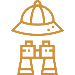 safari icon