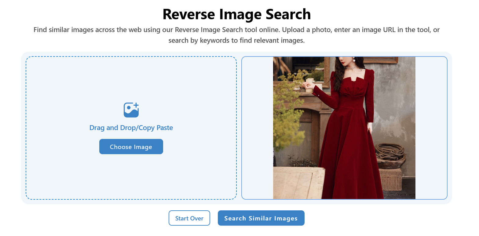 Reverse Image Search