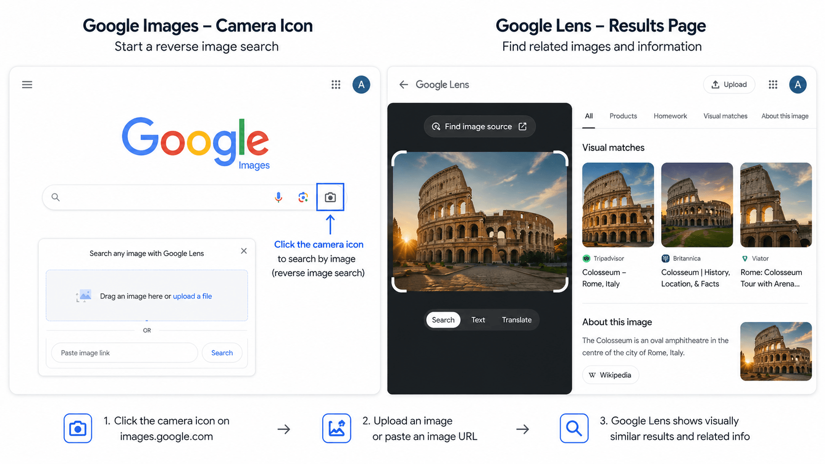 Google Images reverse image search interface showing the camera upload button for reverse video lookup.