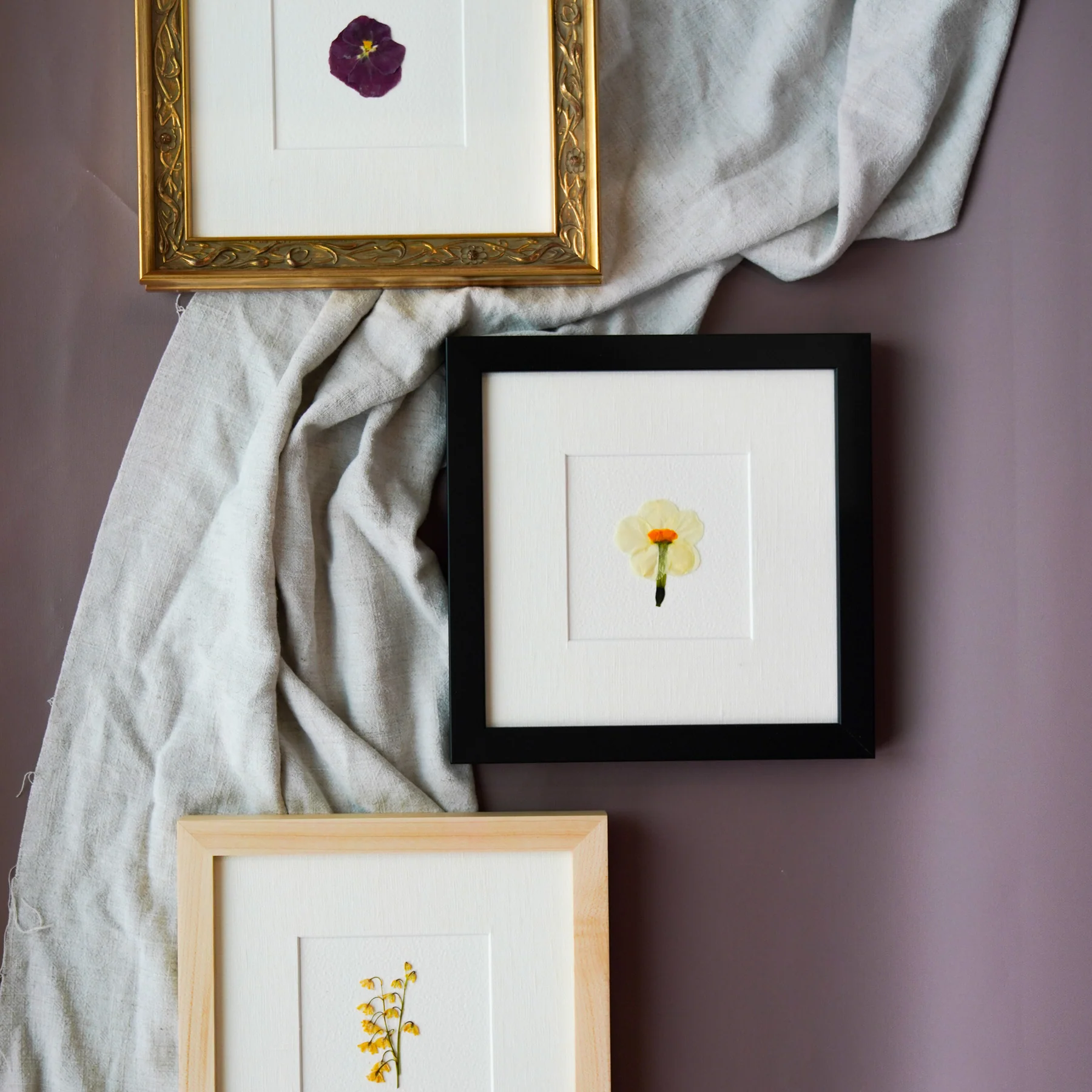 How a Site Redesign + Site Speed Unlocked Higher CVR, Faster Load Times, and More Revenue