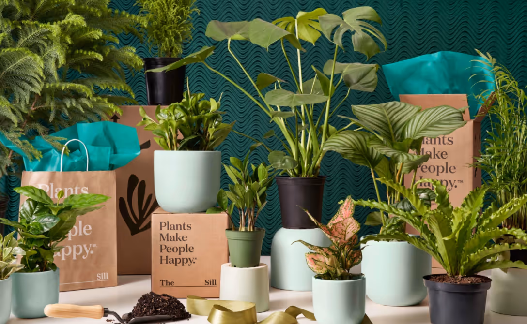 Our Kind to the Earth Holiday Gift Giving Guide