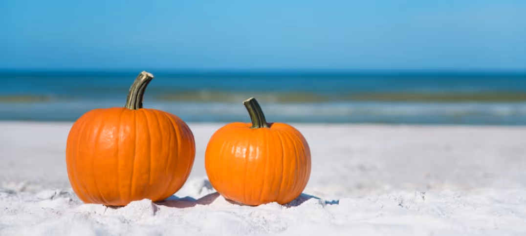 Falling Into Livable Design