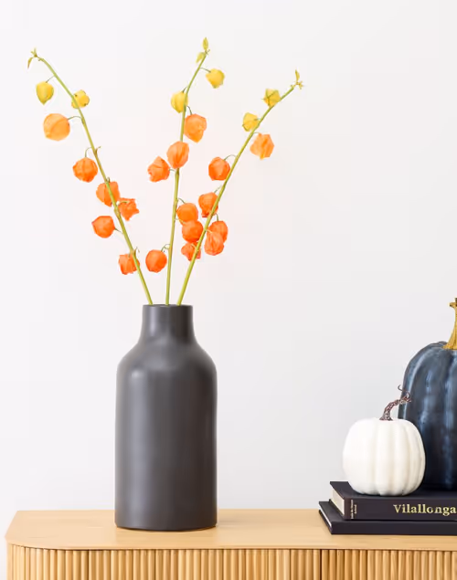 Screen Shot 2022-10-10 at 2.28.07 PM.png