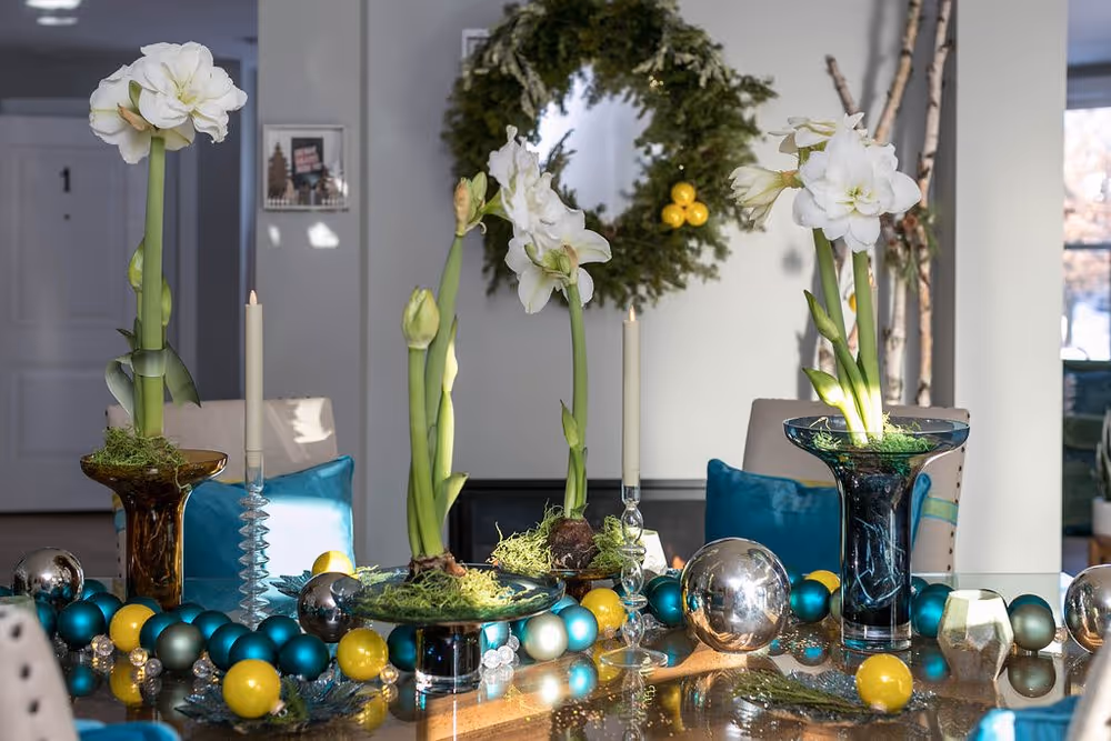 102 Amarylis 2 copy.jpeg