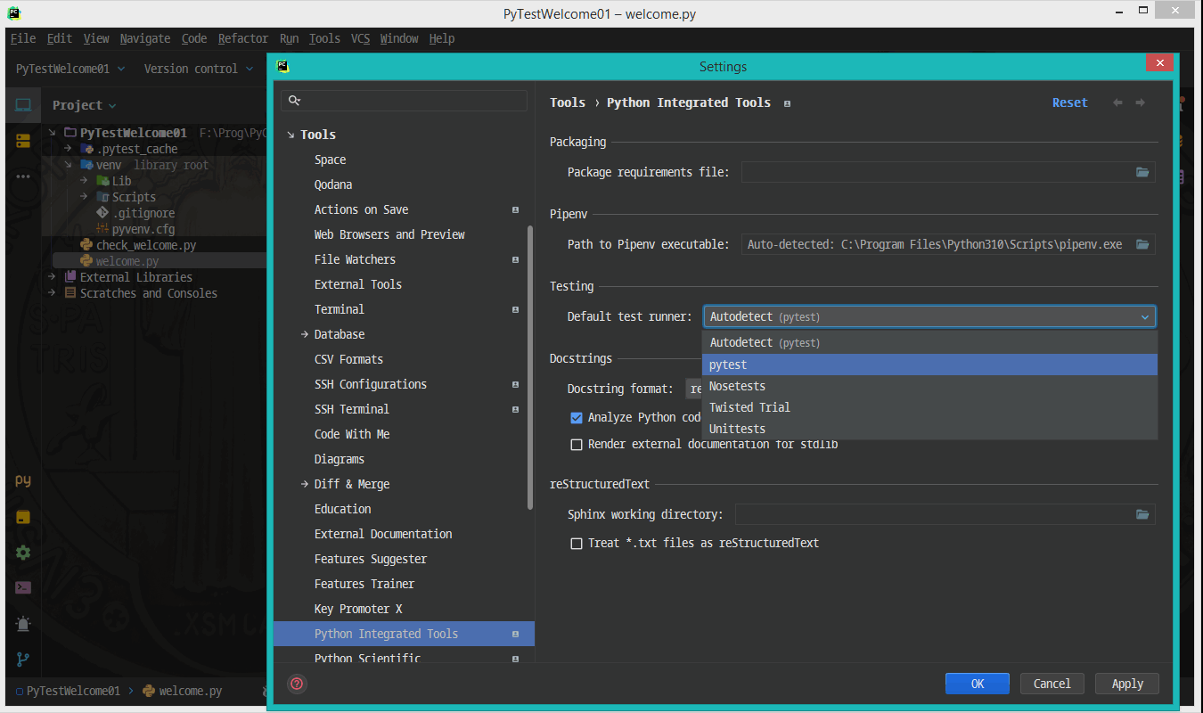 PyCharm "Python Integrated Tools" settings