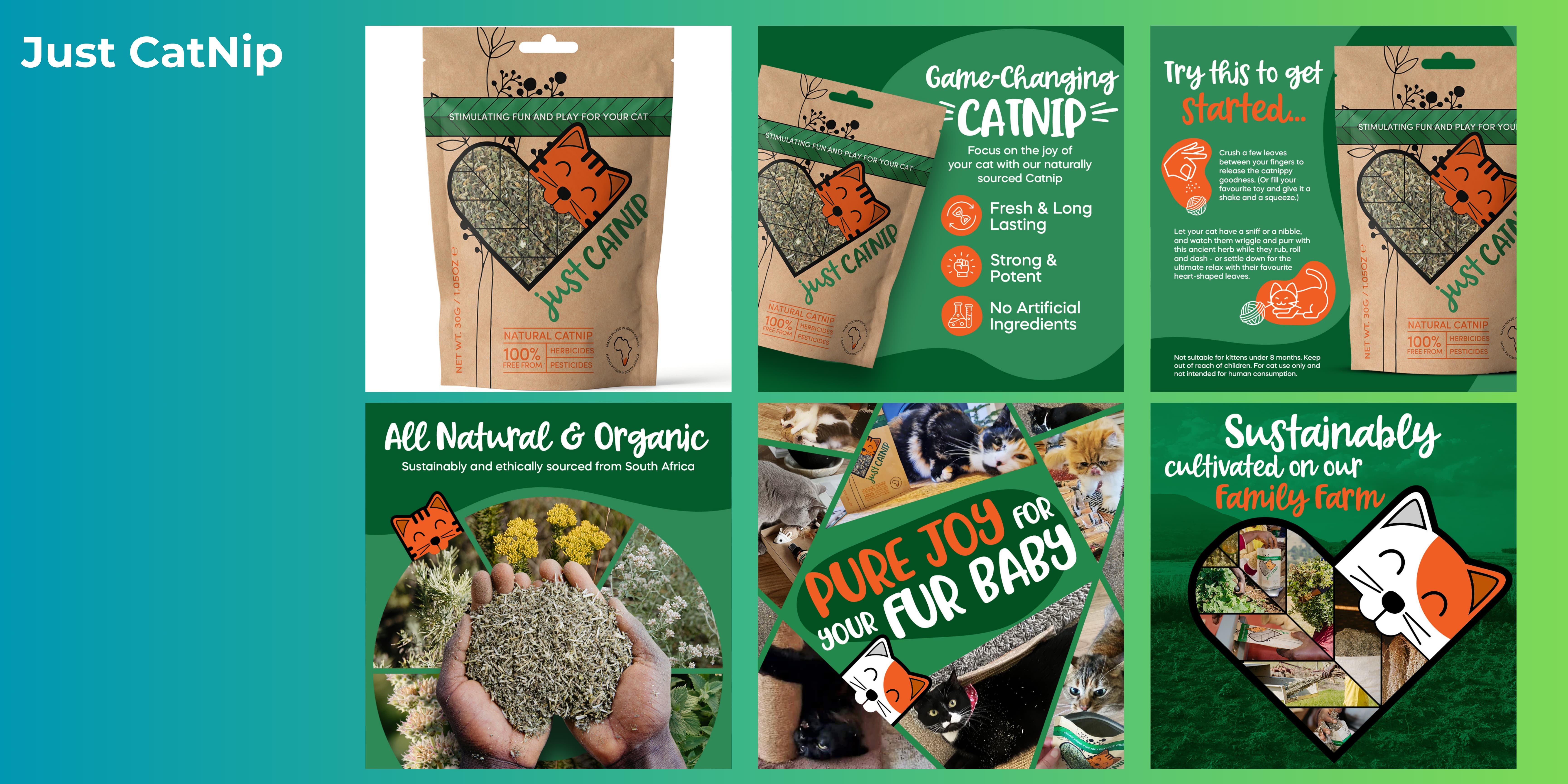 Amazon Listing Images 22