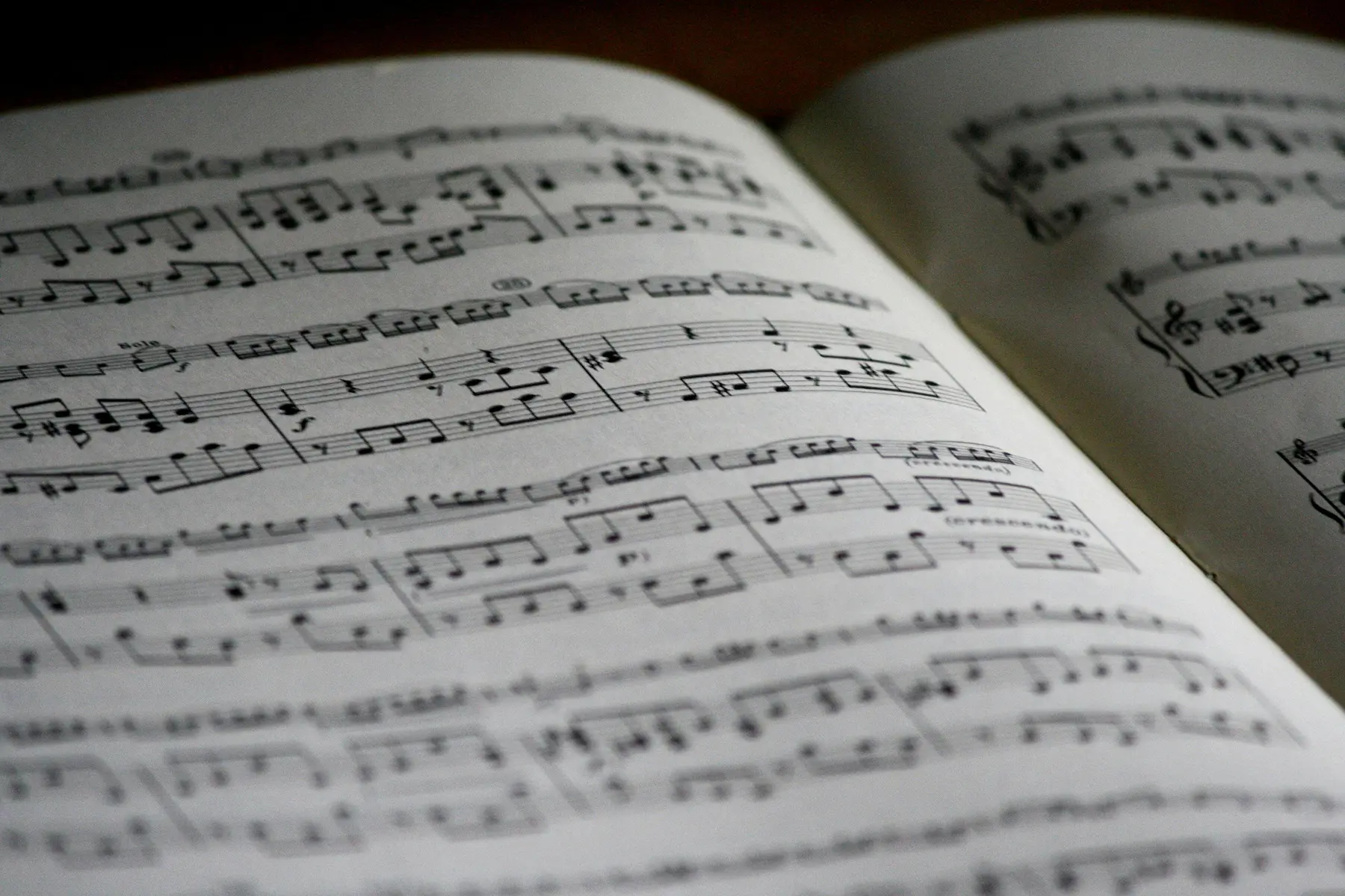 Band fundraiser idea where donors pay to choose a song for the halftime show performance.