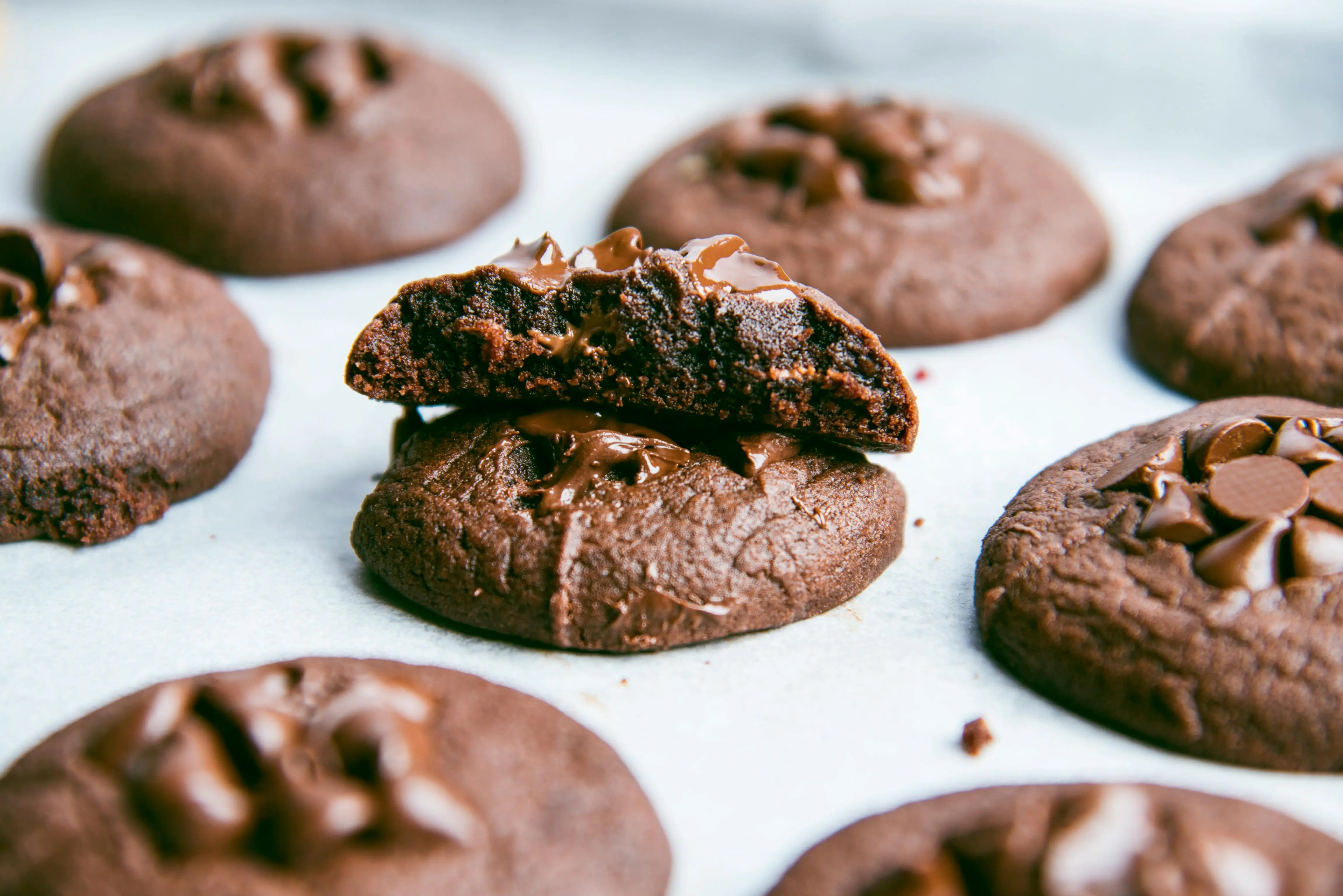 Chocolate Cookies at a bake sale fundraiser for a school.