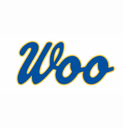 Wooster Little League 