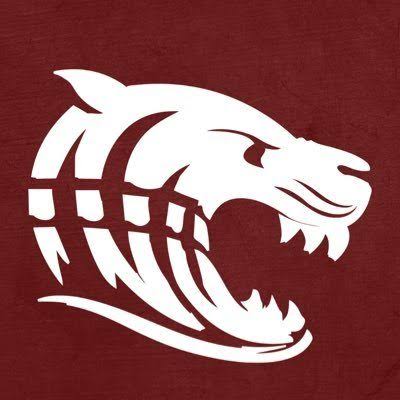 Dawson County Volleyball