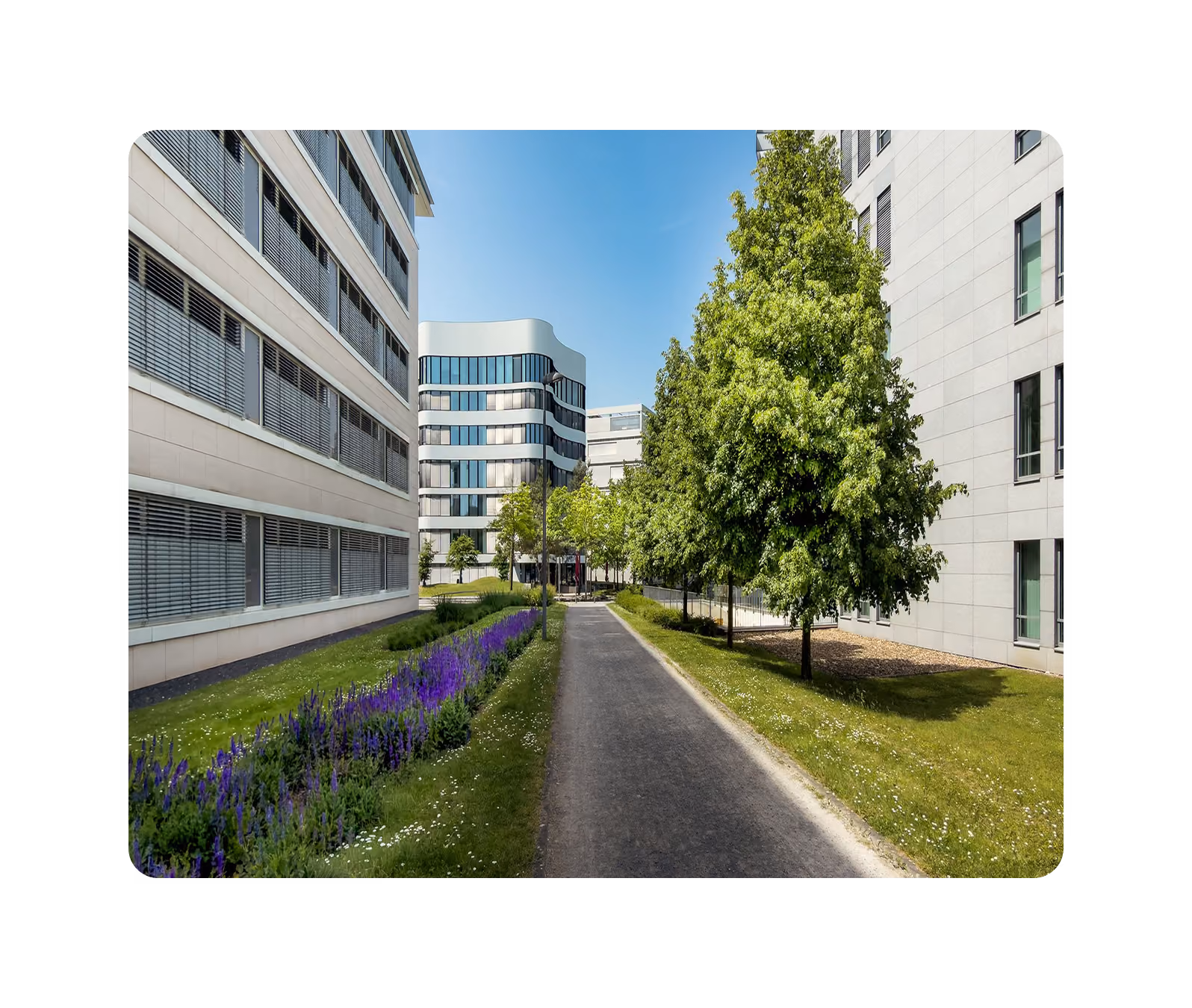 Moderne Bürogebäude an einer begrünten Straße