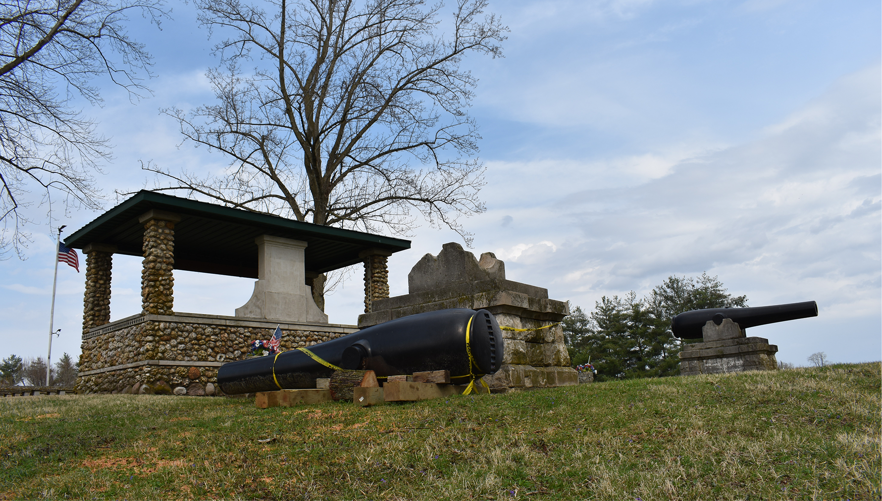 Saving the Sentinels