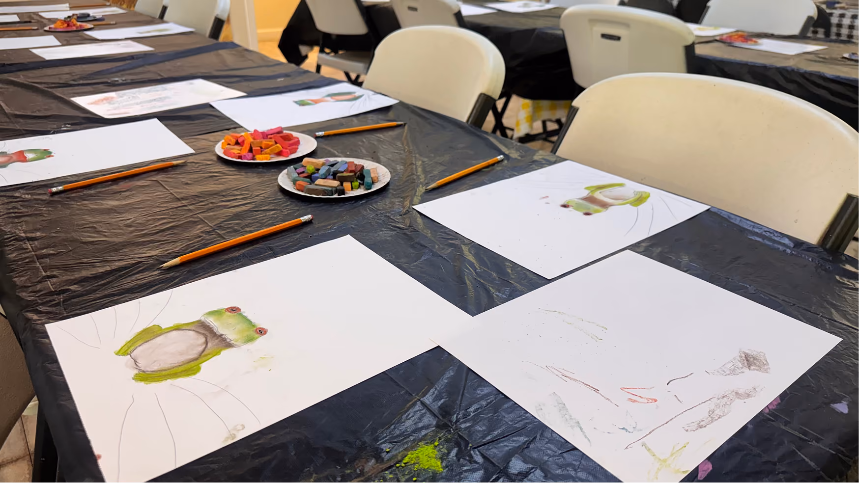 Campers' pastel frogs are pictured on a table on June 11 at the Owen County Art Guild. The finished works included lilypads drawn behind the frogs.