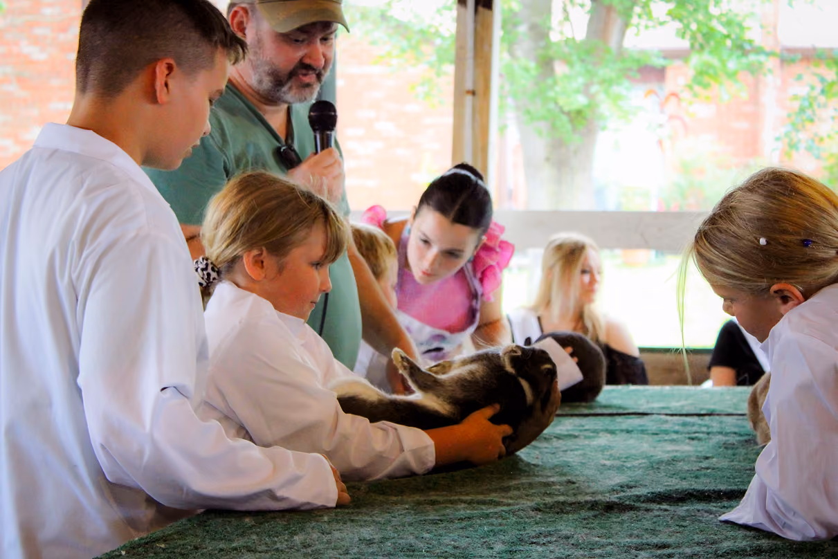 Reagan Hauser turns her rabbit on its back during the Mini 4-H Rabbit Show competition while Rabbit Barn Superintendent Nicholas Heck hosts the competition on July 6 at the Owen County Fairgrounds. CHLOE ODEN | THE OWEN NEWS