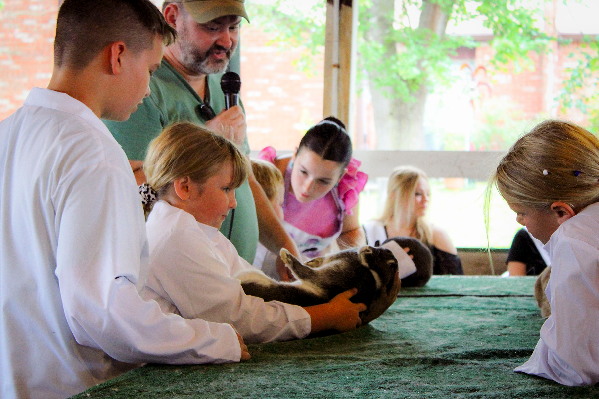 Reagan Hauser turns her rabbit on its back during the Mini 4-H Rabbit Show competition while Rabbit Barn Superintendent Nicholas Heck hosts the competition on July 6 at the Owen County Fairgrounds. CHLOE ODEN | THE OWEN NEWS