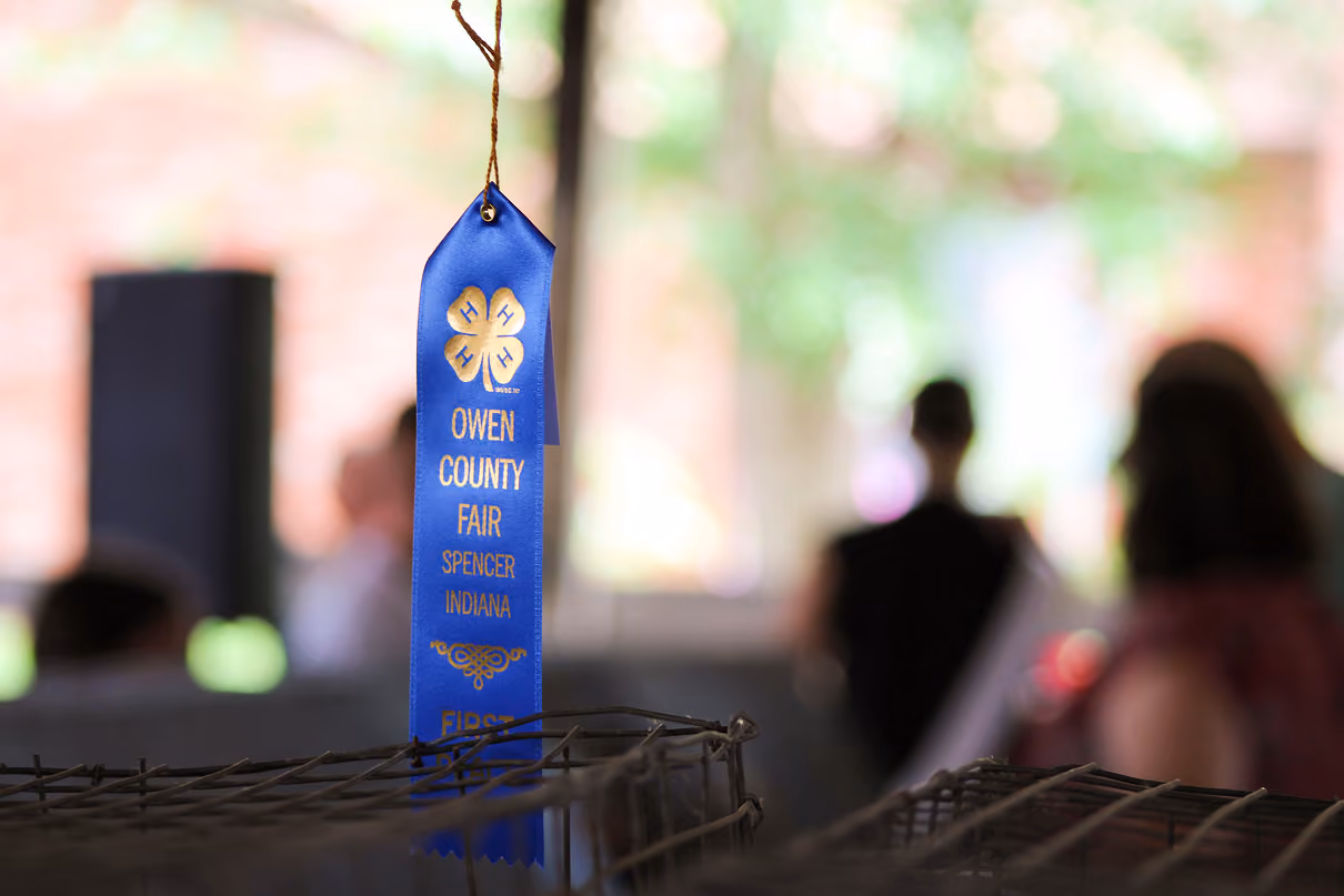 A first place ribbon hangs on July 6 in the Rabbit Barn at the Owen County Fairgrounds. CHLOE ODEN | THE OWEN NEWS