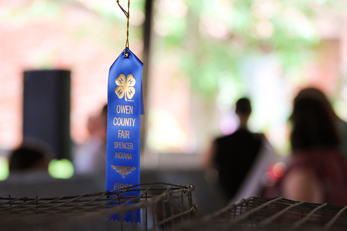 A first place ribbon hangs on July 6 in the Rabbit Barn at the Owen County Fairgrounds. CHLOE ODEN | THE OWEN NEWS