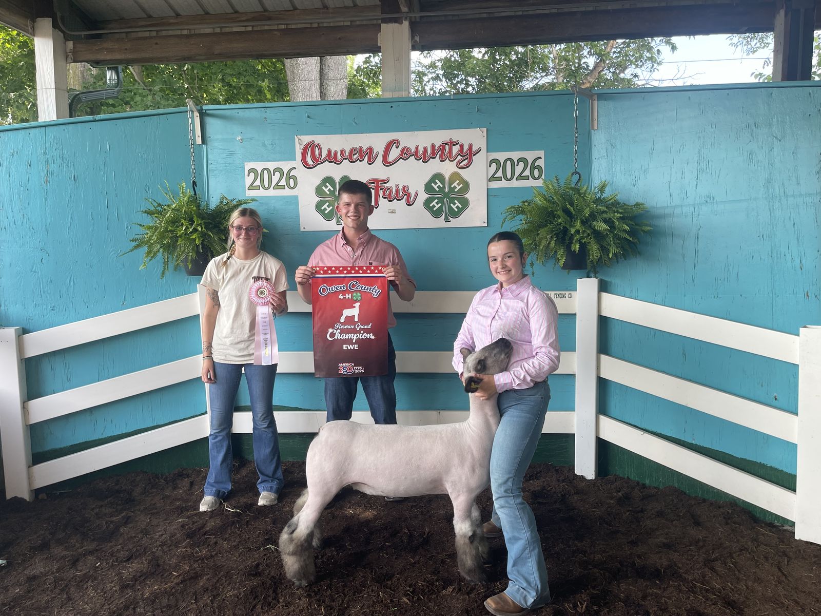 2026 Owen County Fair Sheep Show results, winners