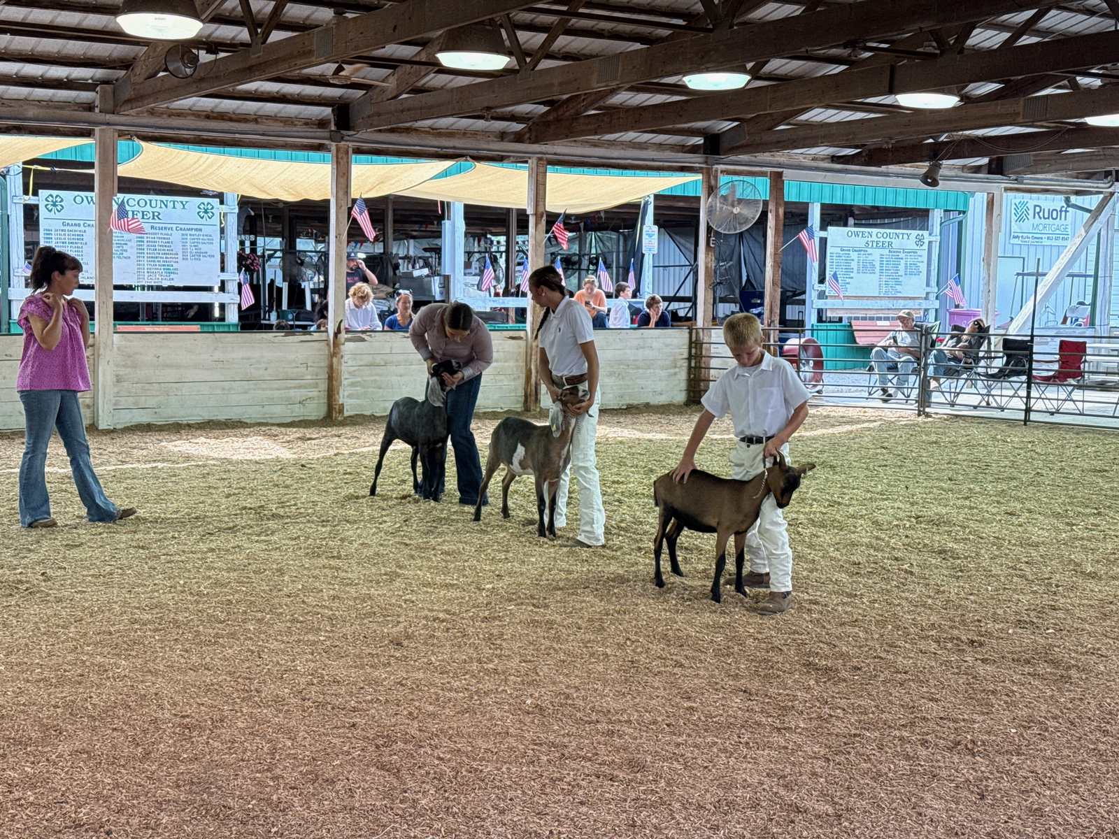 Addi Bradley, Josie Mobley and Declan Williams (left to right) position their animals for judging during the 2026 Owen County Fair Goat Show. NICOLE DECRISCIO | THE OWEN NEWS